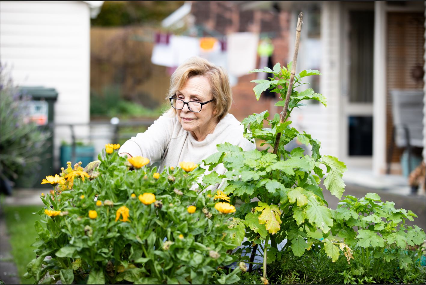 gardening jaqui